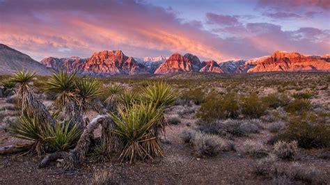 Where to Hike, Climb, and Mountain Bike Near Las Vegas