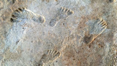 Africa’s biggest collection of ancient human footprints was found ...