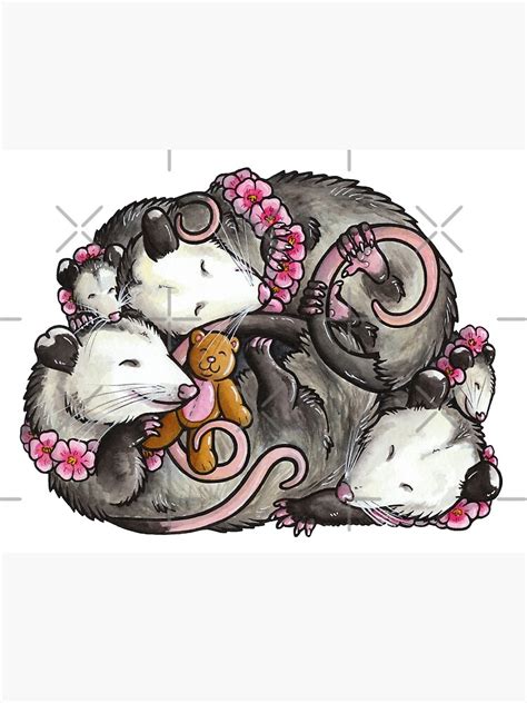 "Sleeping Opossums" Canvas Print by animalartbyjess | Redbubble