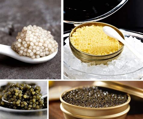 Most Expensive Caviar (from $1,000 to $113,630) - Chef's Pencil