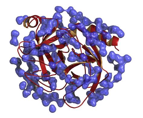 Food enzymes | EFSA