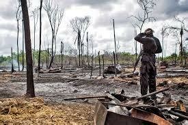 Deforestation and burning | Download Scientific Diagram