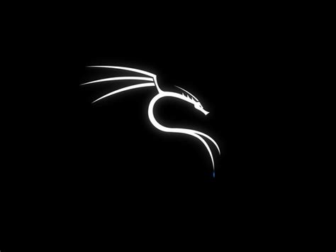 oracle vm server - Kali Linux 2020.2 Stuck on dragon logo - Unix ...