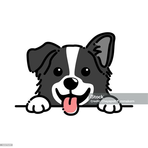 Cute Border Collie Puppy Cartoon Vector Illustration Stock Illustration ...