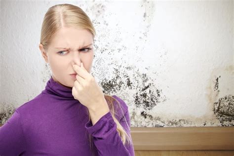 How to Get Rid of That Musty Smell | Direct AC