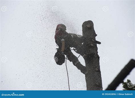 Chainsaw for Tree Cut or Tree Pruning Stock Photo - Image of damage ...