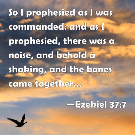 Ezekiel 37:7 So I prophesied as I was commanded: and as I prophesied ...