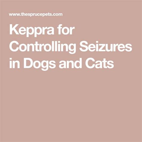 Keppra for Controlling Seizures in Dogs and Cats | Dog seizures, Dog ...