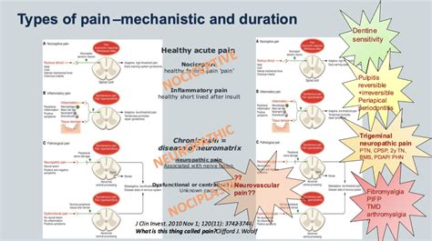 Neuropathic pain: definition, diagnosis classification and assessment ...