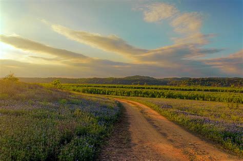 Dirt Road Sunset Photograph by Chuck Underwood