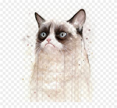 Grumpy Cat Png | It's Meme Cats