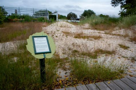 Long-term future of St Andrews Botanic Garden secured | University of ...