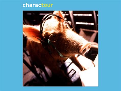 Squealer from Animal Farm | CharacTour