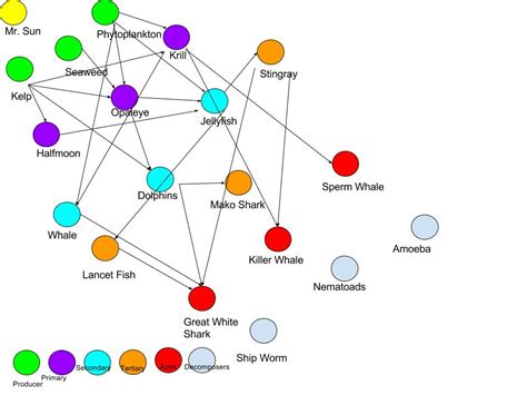 Food Web - Immortal Jellyfish