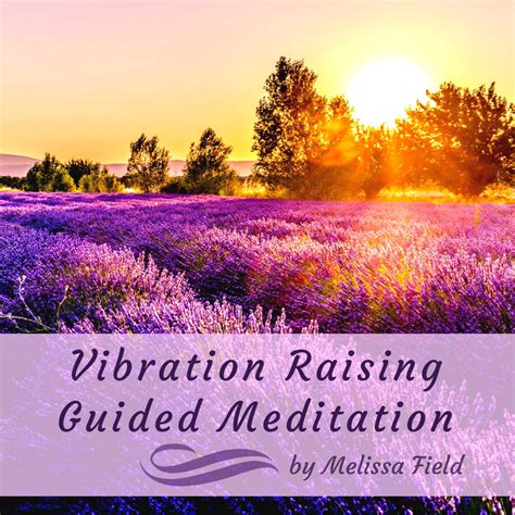 Vibration Raising Guided Meditation - Melissa Field