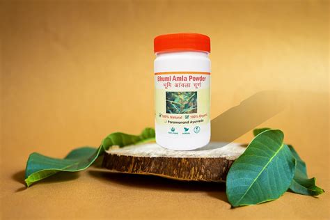 Bhumi Amla Powder - Paramanand Ayurveda