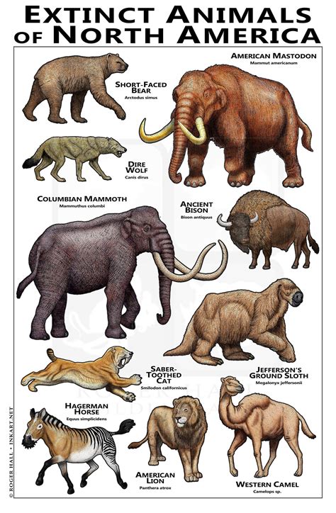 Extinct Animals Images With Names