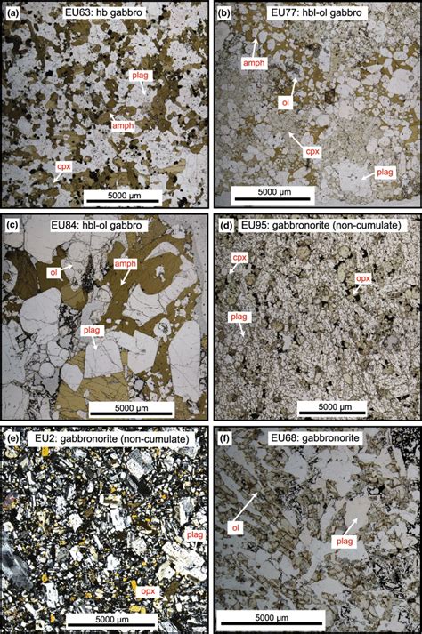 Example photomicrographs of plutonic xenolith types from which melt ...