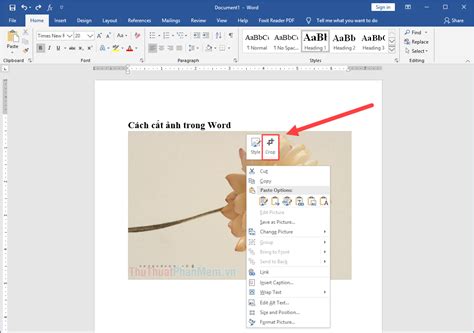 Cách cắt ảnh trong Word