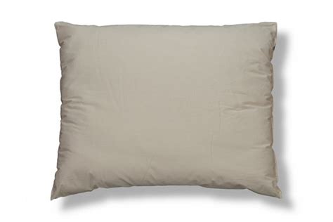 ORGANIC COTTON Filled Bed Pillows with Organic Cotton Cover