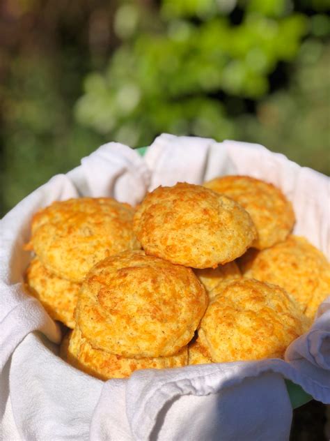 Easy Cheddar Cheese Biscuits - Really Into This