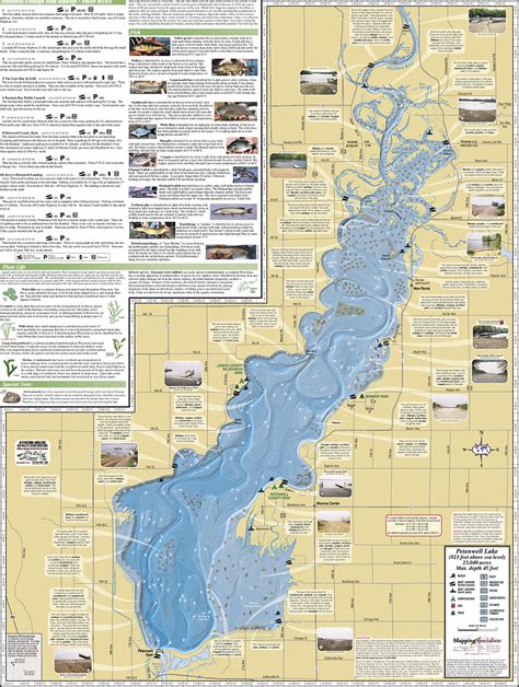 Petenwell Lake & Castle Rock Lake Fold Map