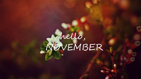 Hello November Computer Wallpapers - Top Free Hello November Computer ...