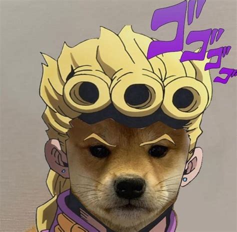 Pin by Giorno Giovanna on dog pfp | Anime kitten, Jojo anime, Jojo bizarre