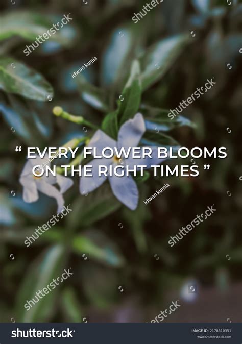 Inspirational Motivational Quotes On Nature Background Stock Photo ...