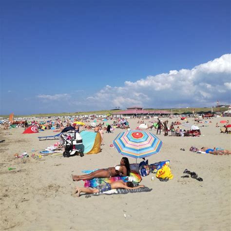 Beaches near Amsterdam – What's up with Amsterdam