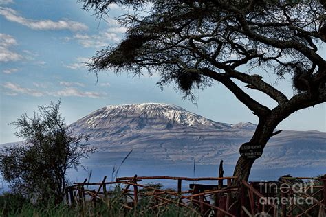 Mt. Kilimanjaro Sunrise Photograph by Stephen Schwiesow - Pixels