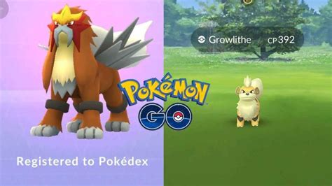 How To Find and Catch Shiny Growlithe and Shiny Arcanine In Pokemon GO