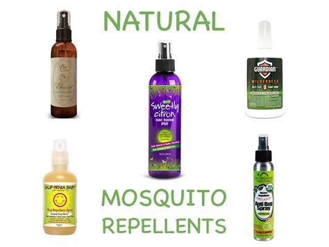 Natural Mosquito Repellents | Homemade Mosquito Repellent – Grow Your ...