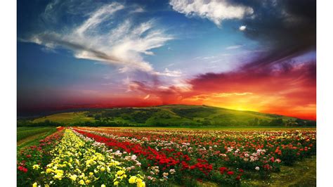 Colorful Nature Wallpapers - WallpaperSafari