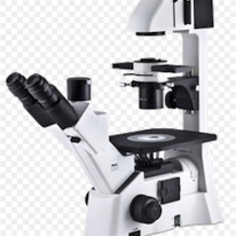 Inverted Microscope Phase Contrast Microscopy Optical Microscope Stereo ...