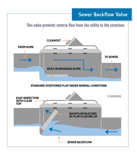 Sewer Backflow Valve - Inspection Gallery - InterNACHI®