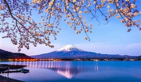 Where To Stay During Cherry Blossom Season In Japan - HotelsCombined ...