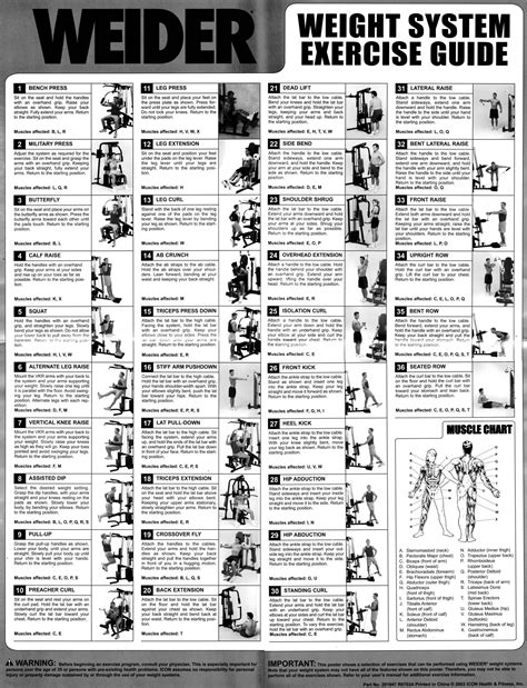 Weider Ultimate Body Works Professional Workout Guide | Kayaworkout.co