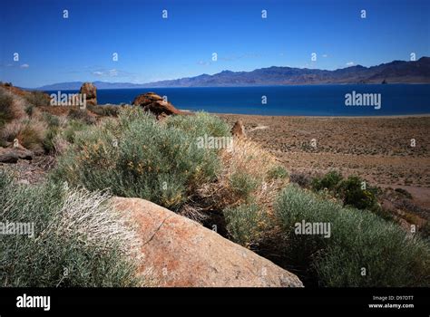 Pyramid Lake Nevada Stock Photo - Alamy