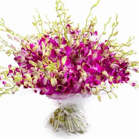 Dendrobium orchids bouquet New York Florist: Flordel LLC | Local Flower ...