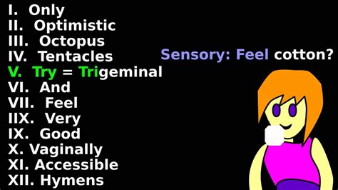 Cranial Nerves Dirty Mnemonic Tutorial : Clinical Neuroscience: Names ...