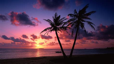 Tropical Beach Sunset Wallpapers - Top Free Tropical Beach Sunset ...