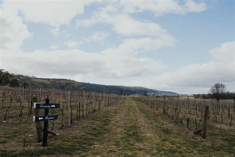 Grace and Mark: A Canberra Wedding at Lake George Winery | Milton Gan ...