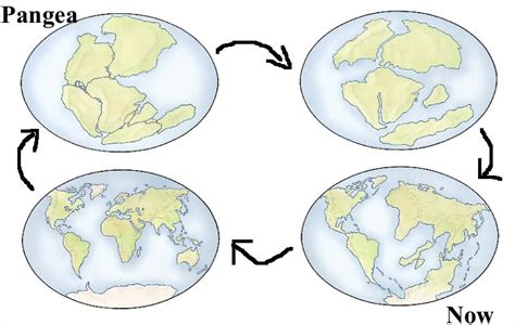 Continental Drift | Alfred Wegener: Building a Case for Continental ...