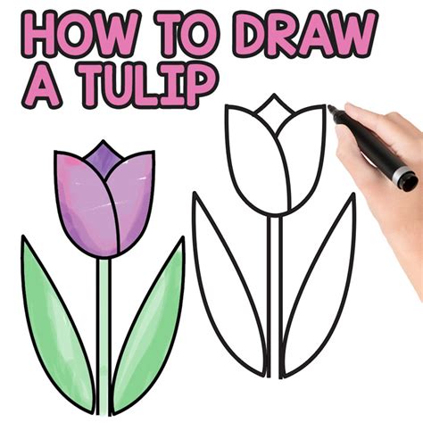 how to draw flowers Archives - Easy Peasy and Fun