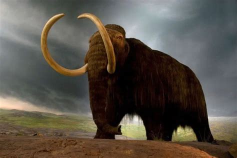 5 Incredible Ice Age Mammals Who Ruled Before Us - Procaffenation