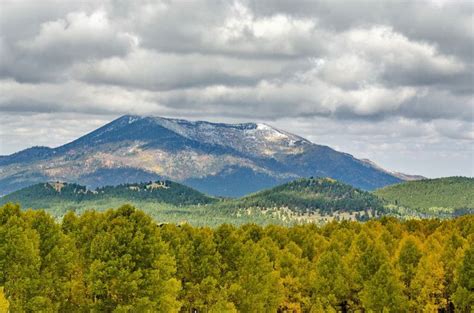 Kaibab National Forest