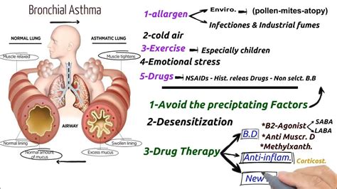 What Is Asthma Causes Of Asthma Symptoms Of Asthma Treatment ...