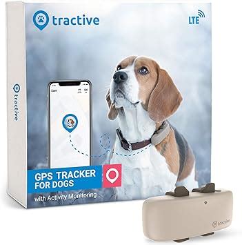 Best Top 10 Microchip With GPS Tracker For Dogs | Dog Fluffy