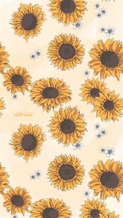 Aesthetic Sunflower Wallpapers - Wallpaper Cave